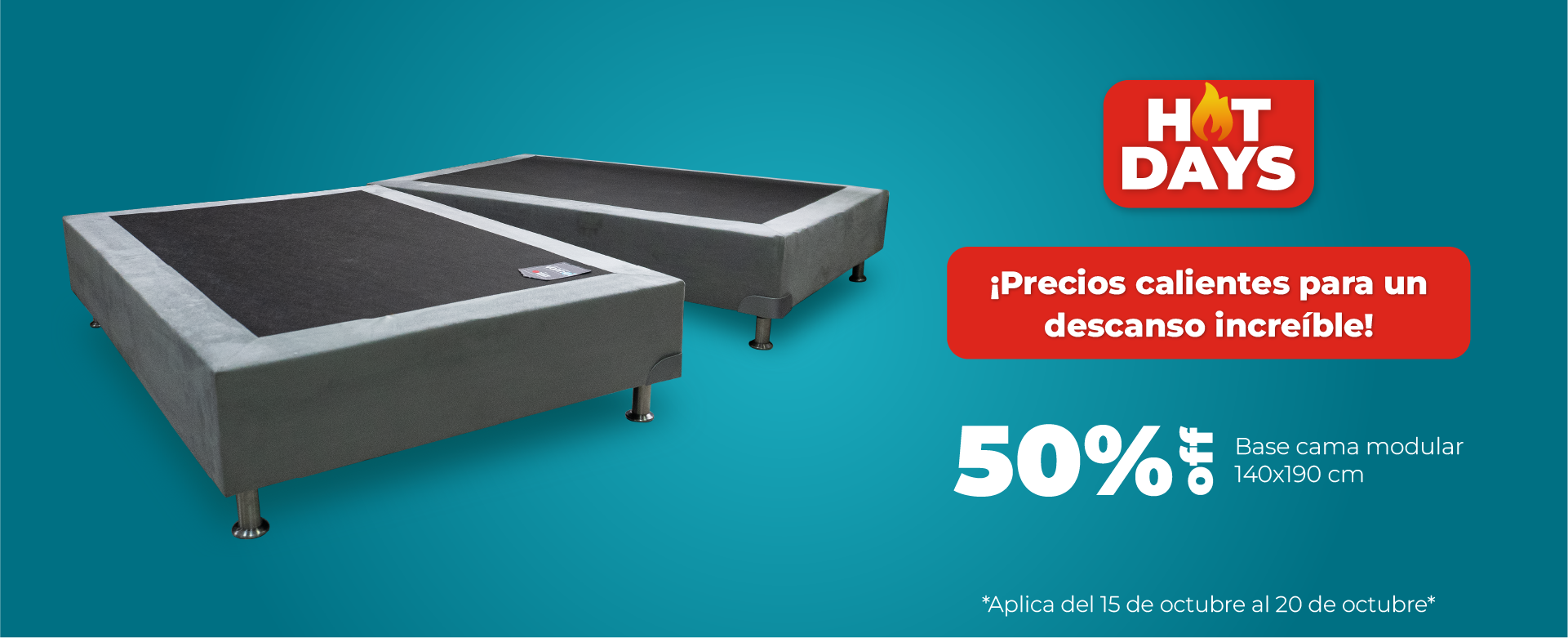 BANNER GRANDE PAGINA WEB copy
